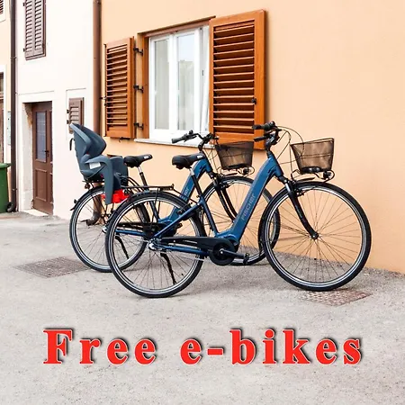 Apartment Exclusive Center With Free E-bikes