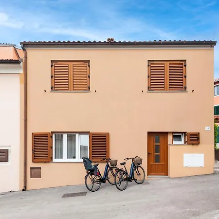 Exclusive Center With Free E-bikes