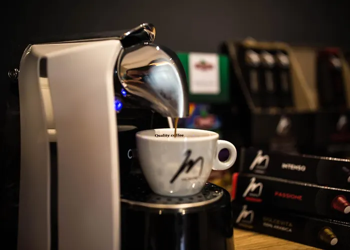 Exclusive Center With Free E-bikes *