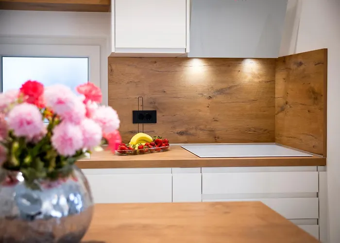 Exclusive Center With Free E-bikes * Ρόβινι