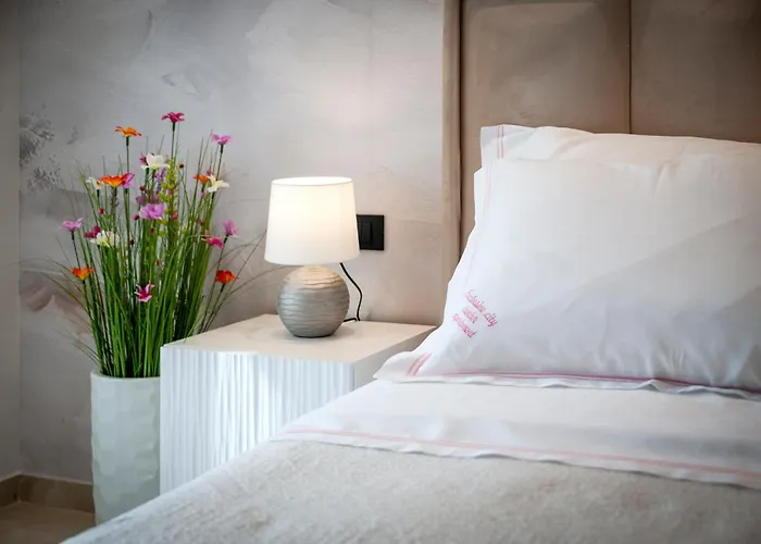 Exclusive Center With Free E-bikes Ρόβινι