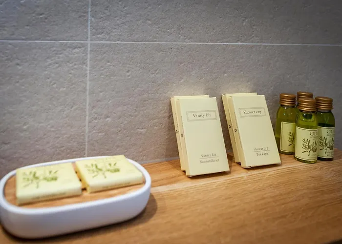 Διαμέρισμα Exclusive Center With Free E-bikes Ρόβινι