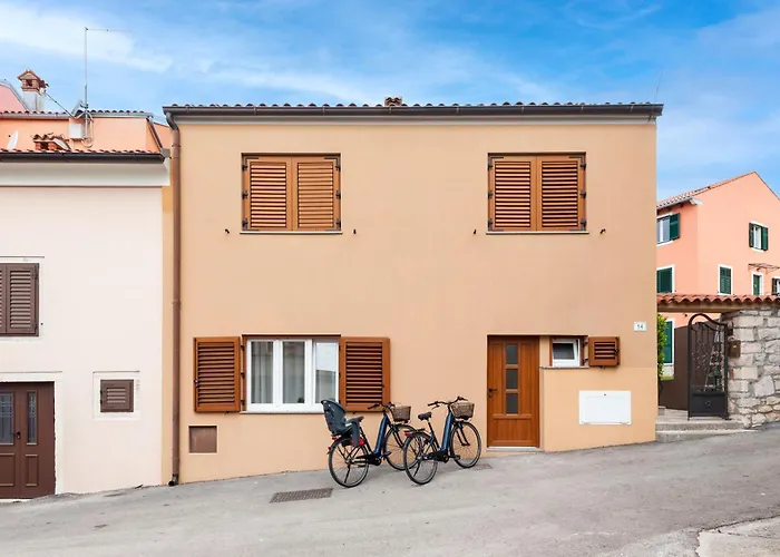 Exclusive Center With Free E-bikes