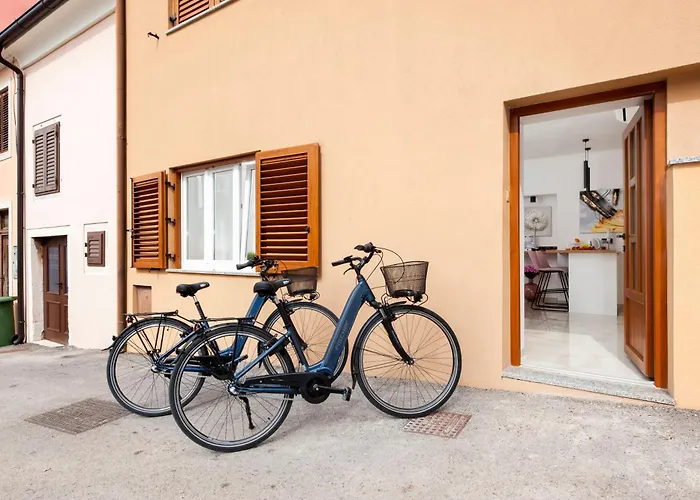 Exclusive Center With Free E-bikes